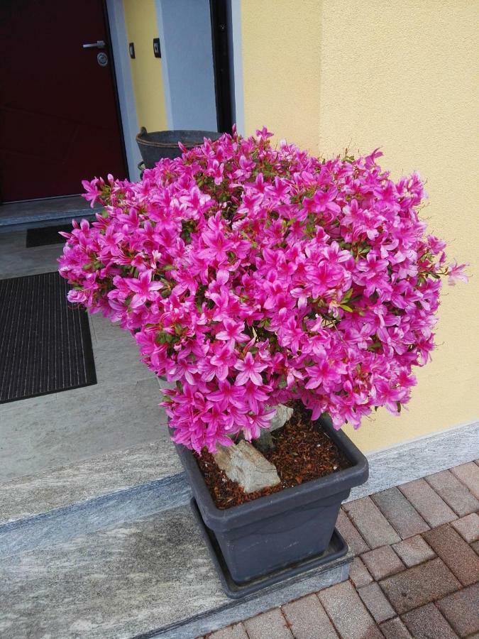 B&B Guglielmina Omegna Exteriér fotografie
